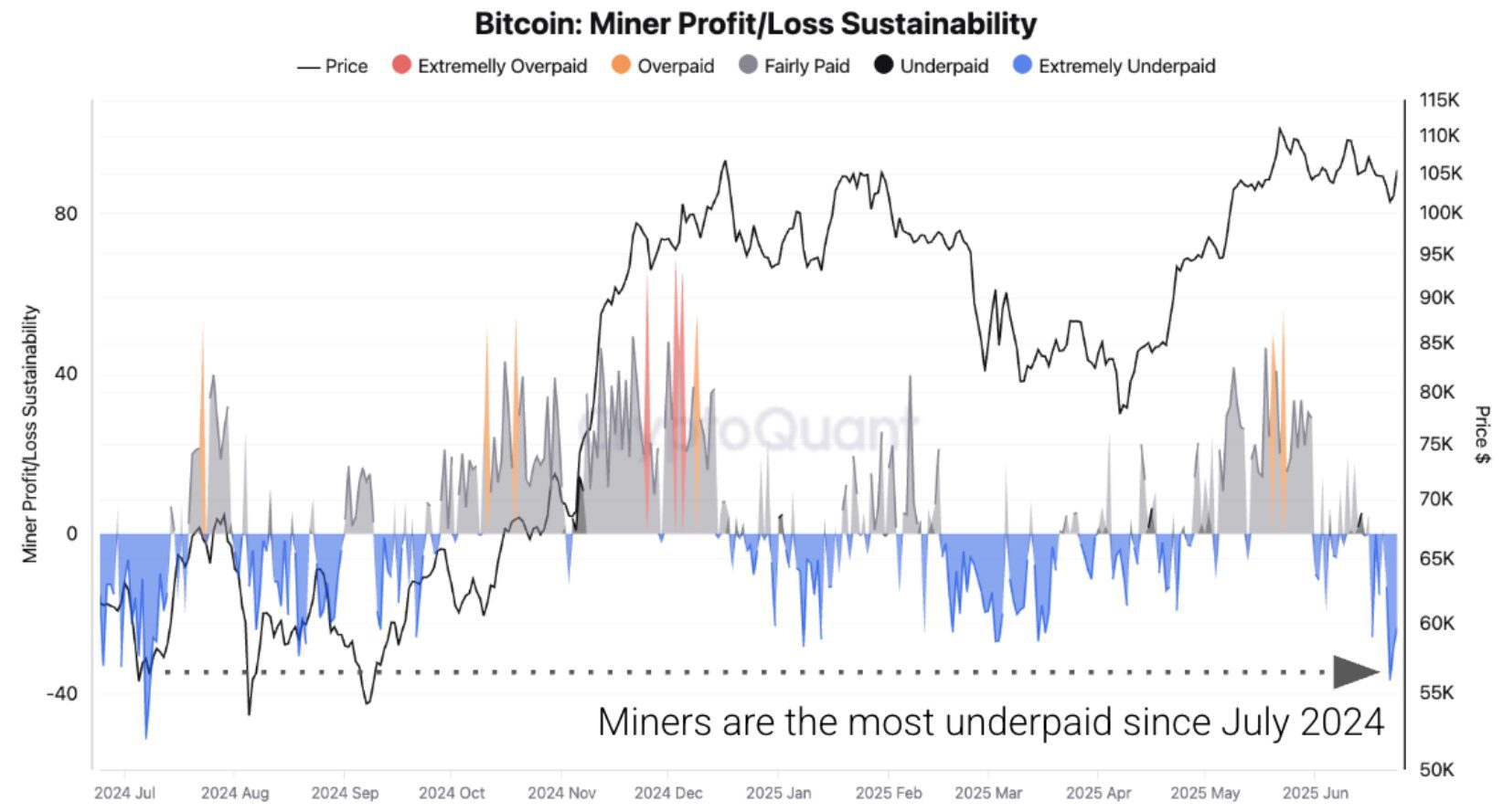 [Mining & Validator Ecosystem]