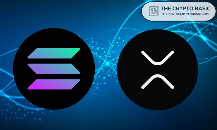 [Tokenomics & Coin Analysis]