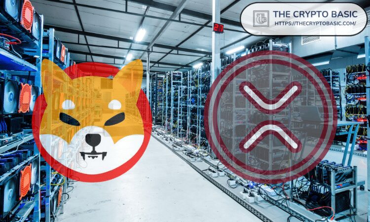 [Tokenomics & Coin Analysis]