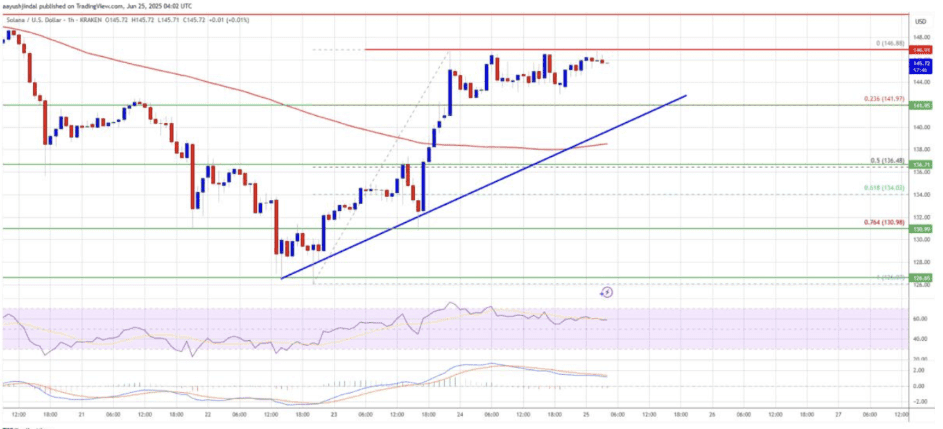 [Tokenomics & Coin Analysis]
