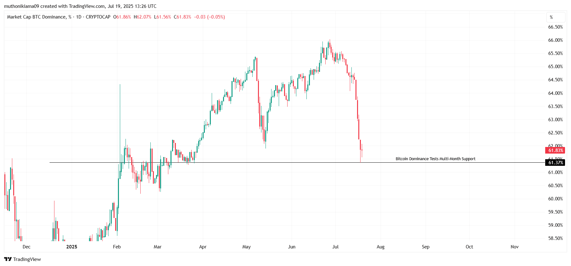 [Tokenomics & Coin Analysis]
