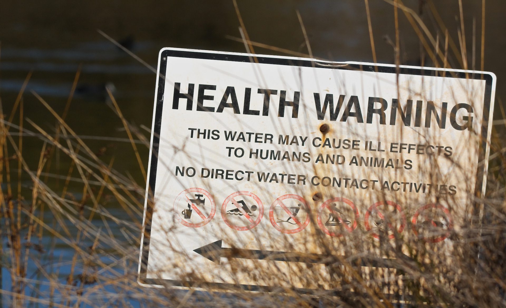 [Regulations & Global Tec]