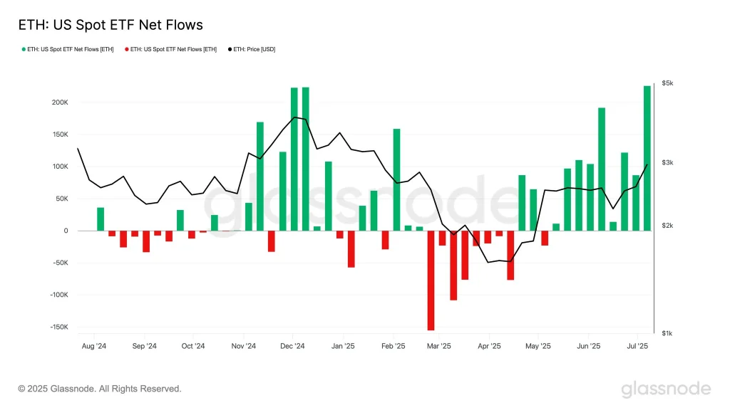 [Tokenomics & Coin Analysis]